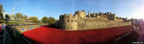 (via BBC News - In pictures: The poppies at the Tower of London)