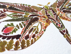 sixpenceee:  Delicate Pressed Fern Leaf Illustrations by Helen Ahpornsiri  