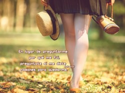 https://orny1312.blogspot.com/