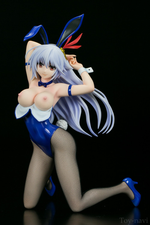 hentaianimefigures:    Madan no Ou to Vanadis porn pictures