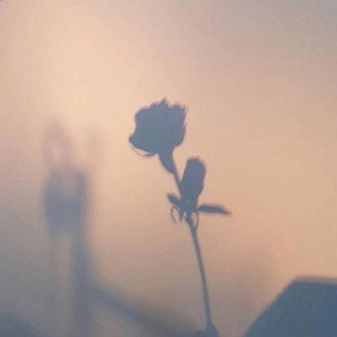 vaselinecats: mushi-and-junior:    album moodboards: Sweetener (2018) // Ariana