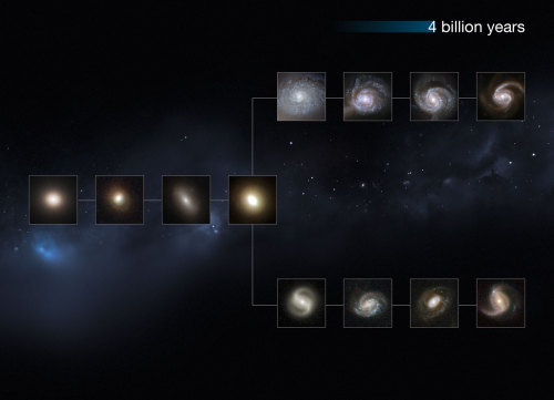 distant-traveller:  Hubble explores the origins of modern galaxies  Astronomers have used observations from Hubble’s CANDELS survey to explore the sizes, shapes, and colours of distant galaxies over the last 80% of the Universe’s history. In the Universe