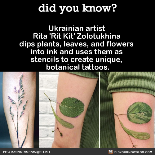 did-you-kno:Ukrainian artist Rita ‘Rit Kit’ Zolotukhina dips plants, leaves, and flowers into ink an