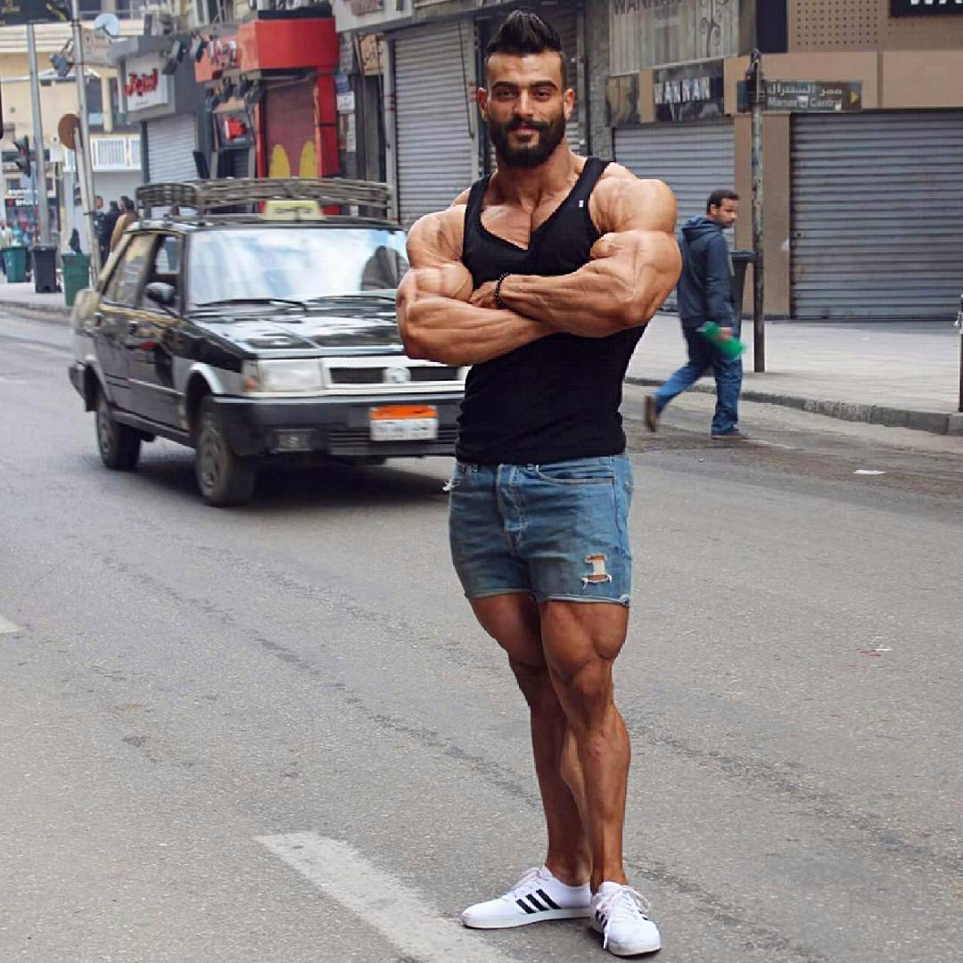 justmuscle77:Fucken A this man is beyond sexy, hot and gorgeous! Mohamed ElQadi has