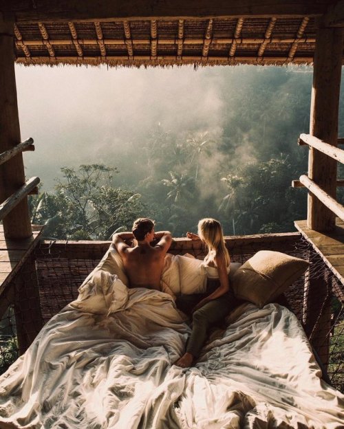 oceancuresall:tropical blog