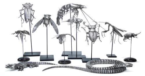 entophiles:Oleg Konstantinov makes beautiful, fully-articulated metal pieces I would kill to own. &n