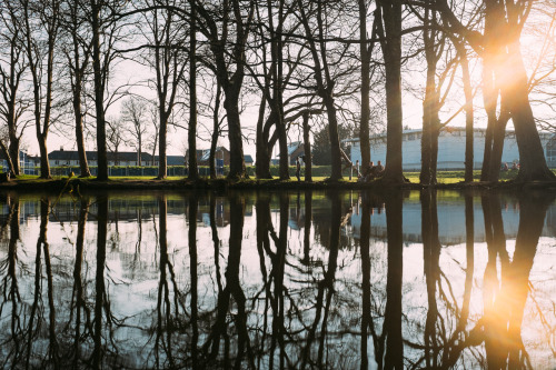 danfreemanphoto:  A walk in the park
