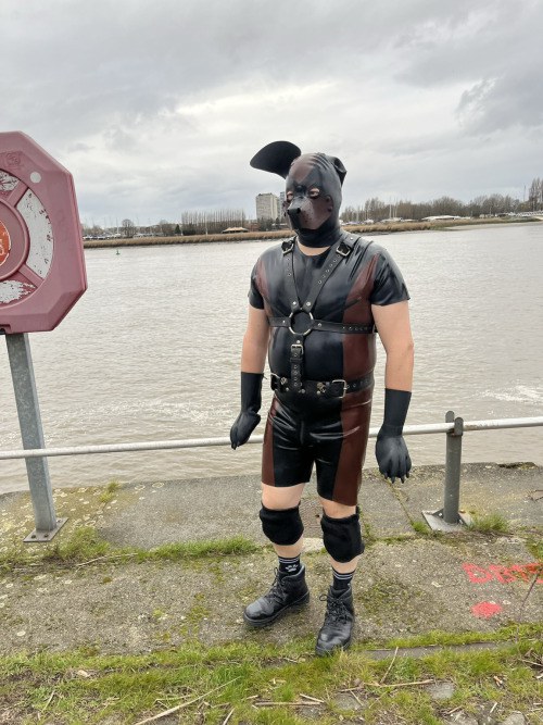 Darklands Day 2 - Part 2/1Fluttering Ears Due To Strong Wind