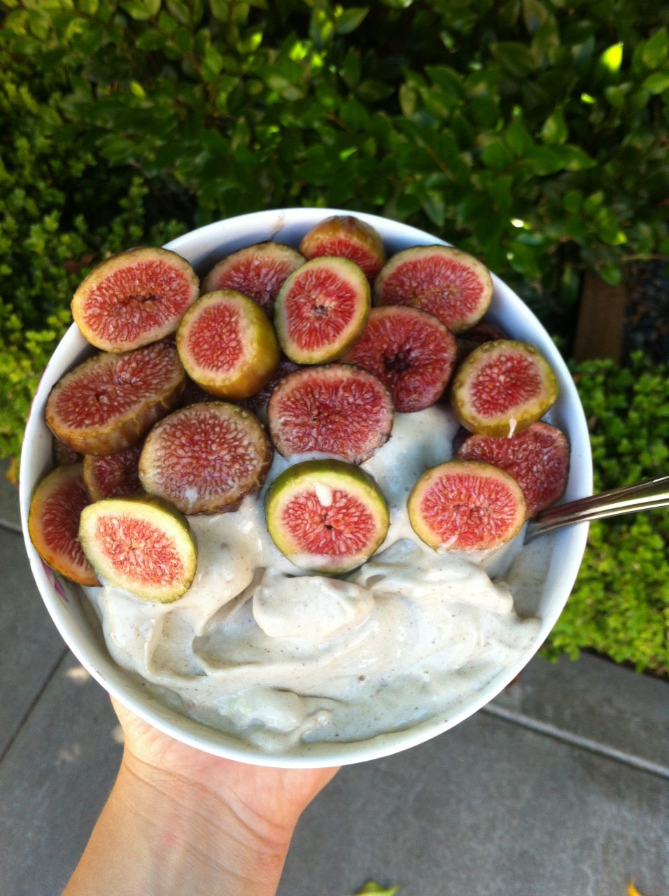 bunnnyhugger:  banana whip with figs I picked from neighbors yard 