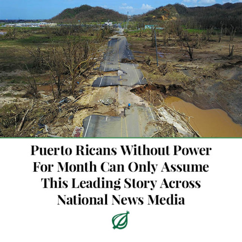 theonion:SAN JUAN, PR—Saying that their fellow countrymen were probably deluged with coverage 