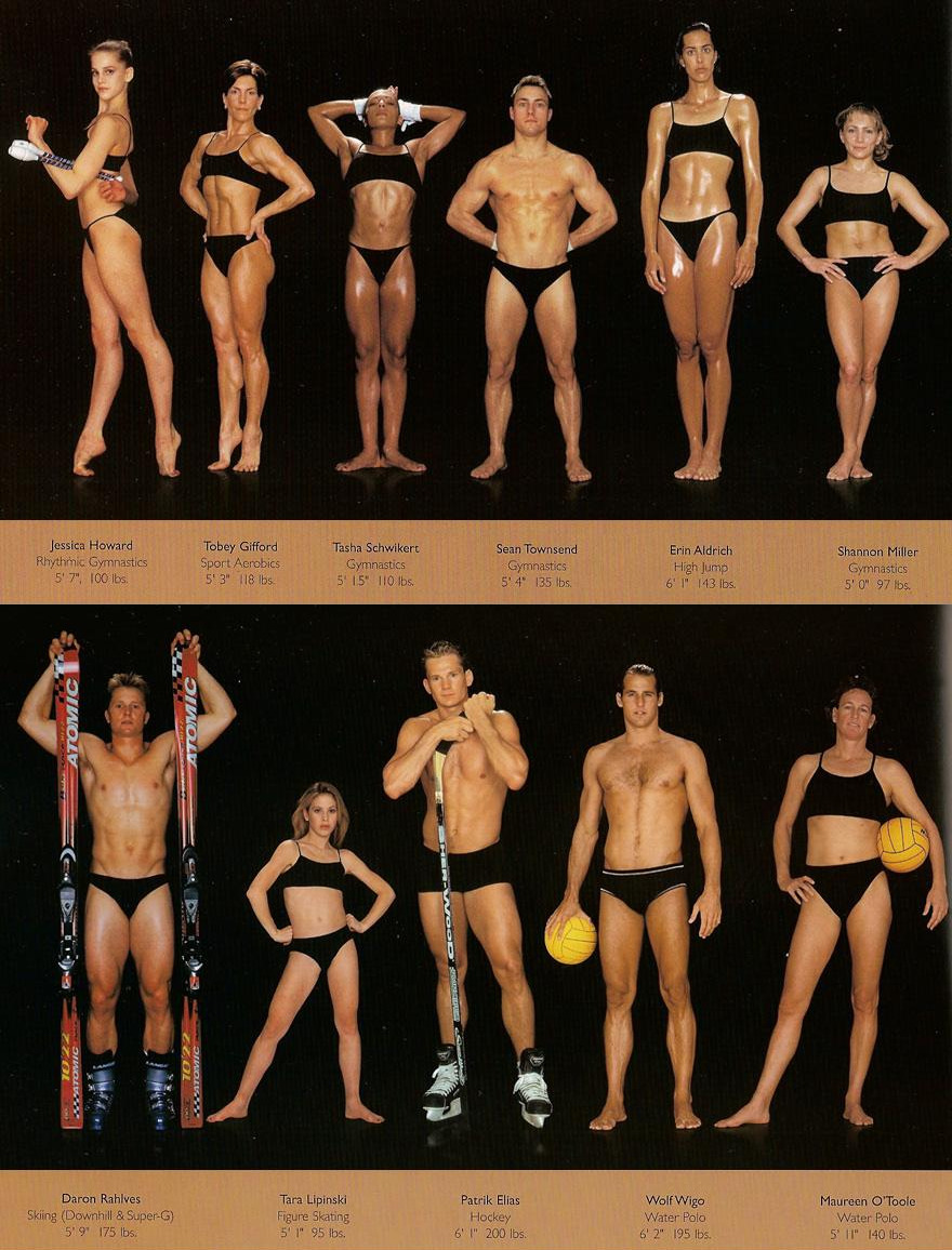 thedragonflywarrior:  thedragonflywarrior: The Body Shapes of the World’s Best