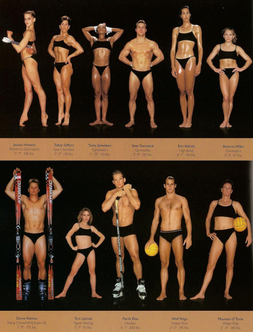 like-a-bad-penny:schweizercomics:yamino:thedragonflywarrior:thedragonflywarrior:The Body Shapes of t