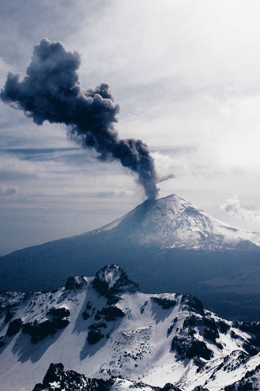 expressions-of-nature:  Wild by Cristopher Reyes 
