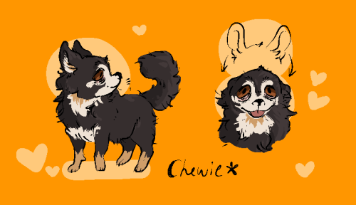 dewkid: my favorite old friend , chewy !!