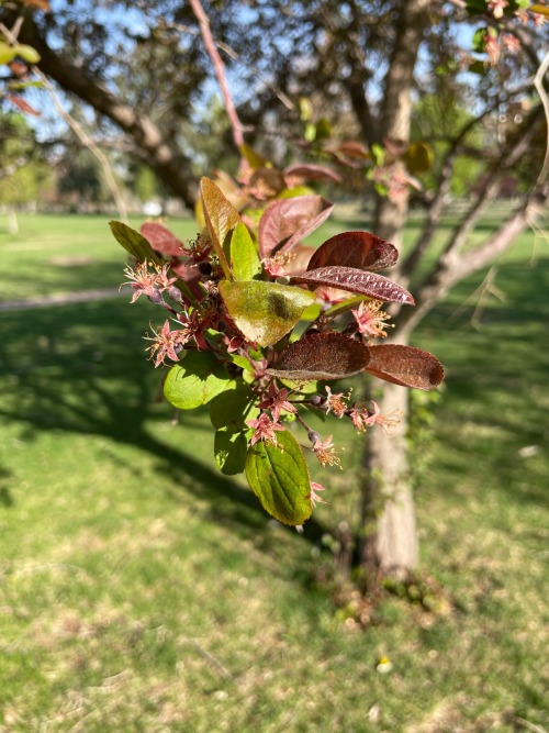 Blossom Into Something Beautiful So That By The End Of The Year You May Harvest What Has Been Learned.