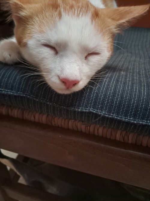 Hi Everyone !