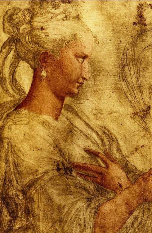 colin-vian:  Parmigianino (Girolamo Francesco Maria Mazzola ,1503-1540)