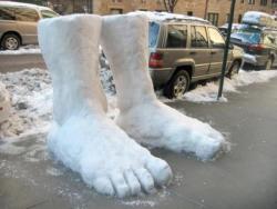 willywaldo: willywaldo: 2 feet of snow in