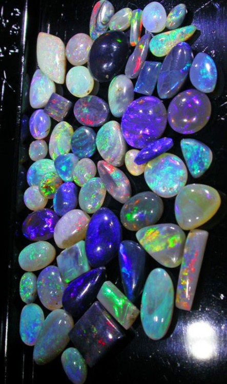 Opal Auctions