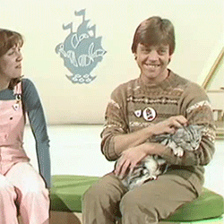 theadmiress:  Mark Hamill  He’s just adorable.  