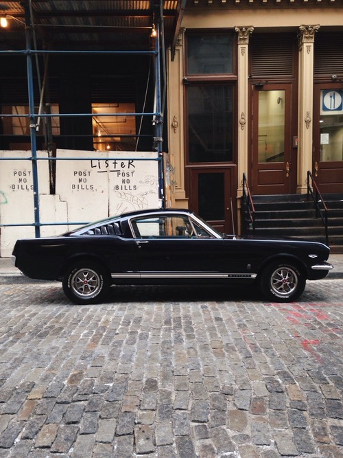 American Muscle Cars 
