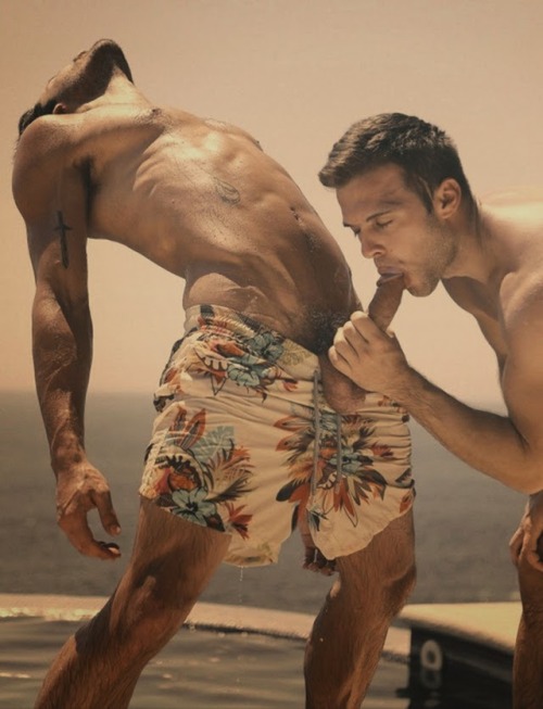 You like this?  Follow me! placeforgays.tumblr.com
