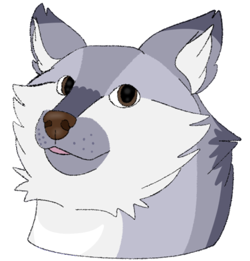Doge Meme,but As A Wolf