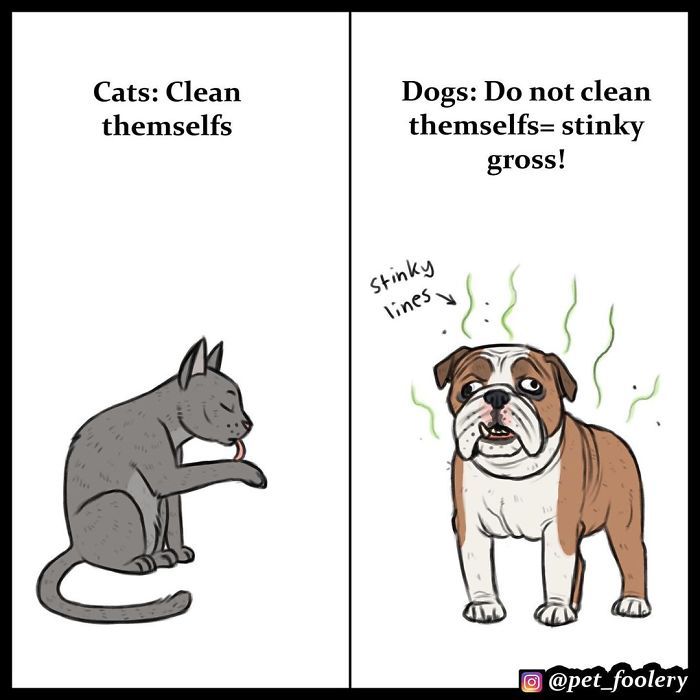 catsbeaversandducks: By Pet Foolery
