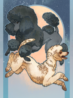 canisalbus:  Nobiliora Pet portrait commission for @service-poodle, featuring their standard poodles Carlotta and Harlow. 