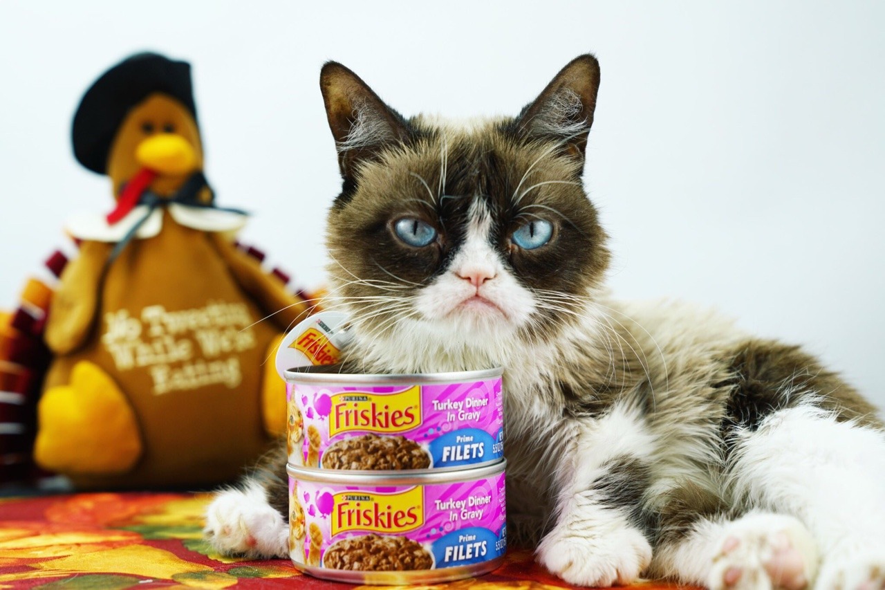 Pass the gravy? NO. I'm having my Thanksgiving meal all to myself. Don't expect me to give thanks or share my @friskies Prime...