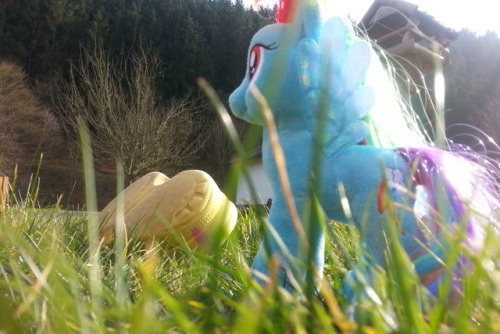 yeah there is mlp and a croc in one pic sue me