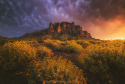 euph0r14:  landscape | Spring Blooms and Summer Monsoons | by Pcoskun | http://ift.tt/1ZQD6g2 