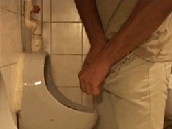 Gay Of Guadalajara