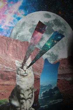 obeytheprophecy:  ▲ obey the prophecy ▲ the door to wonderland