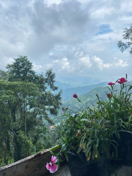 The Balcony Of My Room Is Nothing Less Than A Paradise.