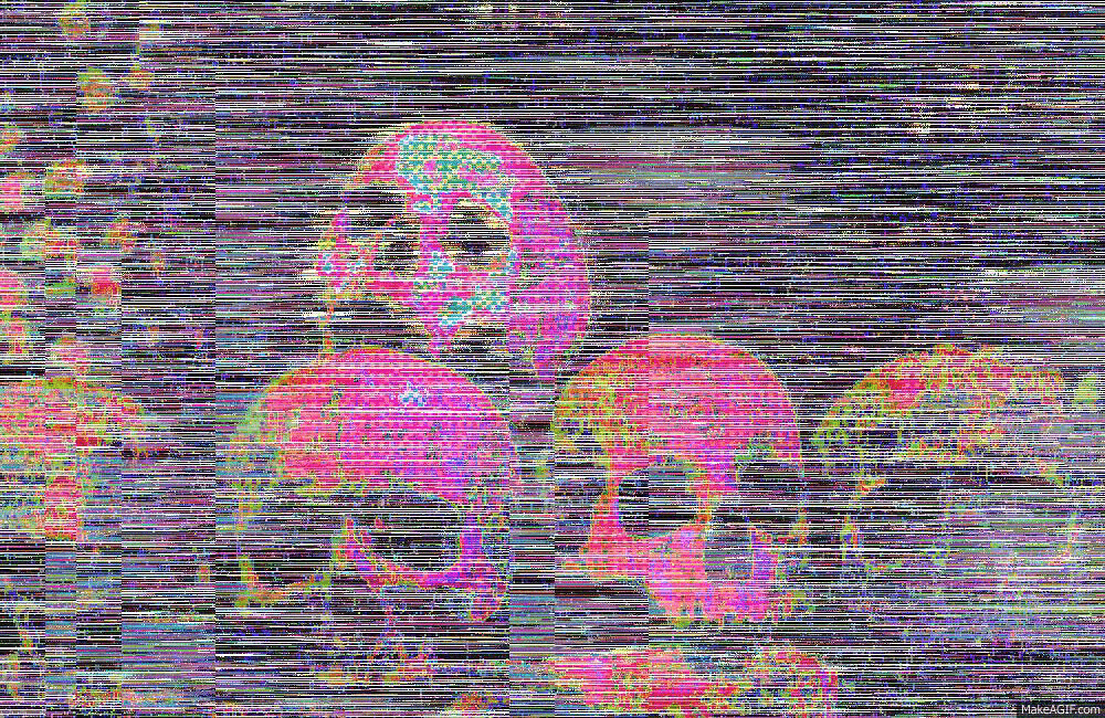 welcome to my ego