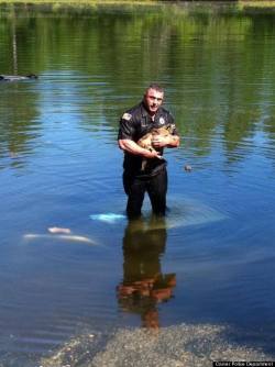 awwww-cute:  This officer risked his life to save this dog 