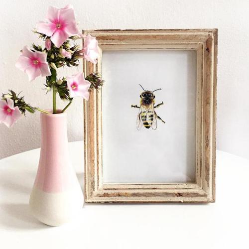 Bee Print //janinesommerillus