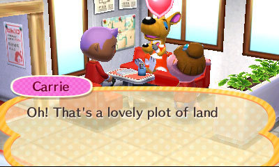 a-c-newleaf:  Animal Crossing: Happy Home Designers