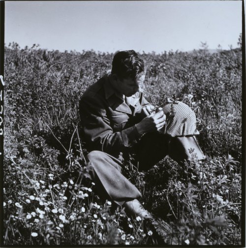 carnageandculture:  Soldier in field, putting flowers on helmet  Italy, Easter Sunday, 1945By Toni Frissell  