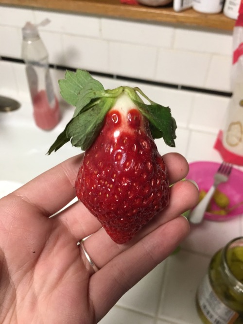 iguanamouth: 8-02-99 submitted: I found this weird ass strawberry and she looks like a small magica