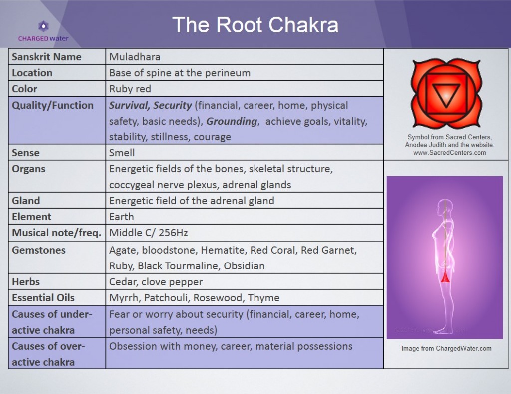 metanoia-world:  Major Chakras   A chakra is an spinning energy center that manages