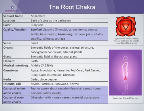 Porn metanoia-world:  Major Chakras   A chakra photos