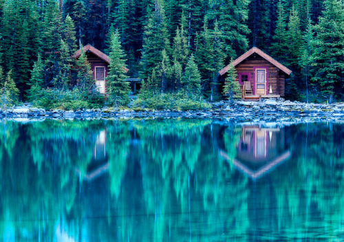 Lake O'Hara by Scott Dimond