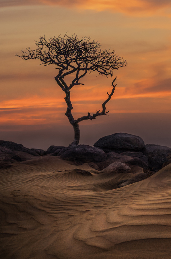etherealvistas:  الرميضه alromidah (Saudi Arabia) by   Abo-Nasser Alzahrani