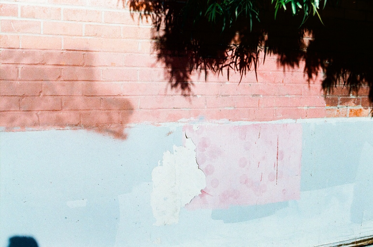 bambileur:  q’ed❁indie/gypsy/bambi❁
