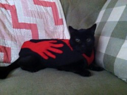 rowsdowr:Cat in Manos: The Hands of Fate Costume [MST3K]