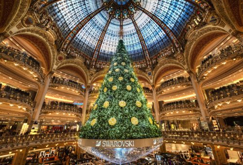 Christmas Tree in Paris (by Stuck in Customs)