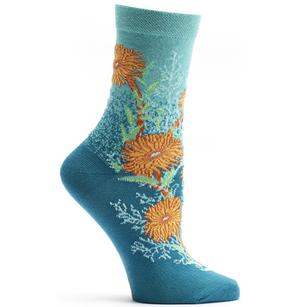 Cool Things You Can Buy — Ozone socks