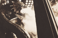 harrypotter-and-percyjackson:  It’s funny how humans can wrap their mind around